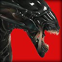 Batman v Xenomorph  screen for extension Chrome web store in OffiDocs Chromium