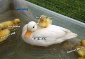 Free download Batman y sus hijos [ Meme ] free photo or picture to be edited with GIMP online image editor