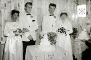 Free download Baum Double Wedding free photo or picture to be edited with GIMP online image editor