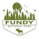 Bay of Fundy  screen for extension Chrome web store in OffiDocs Chromium