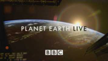Free download BBC Planet Earth Live free photo or picture to be edited with GIMP online image editor