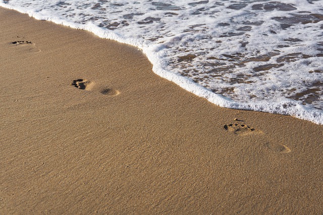 Free download beach footprints sand sea ocean free picture to be edited with GIMP free online image editor