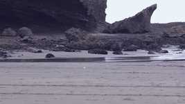 Free download Beach Front Auckland New Zealand -  free video to be edited with OpenShot online video editor