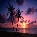 شاشة Beach Sunset لتمديد متجر Chrome الإلكتروني في OffiDocs Chromium