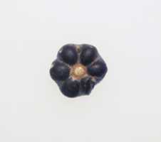 Free download Bead in the form of a rosette free photo or picture to be edited with GIMP online image editor