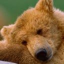 Bear2  screen for extension Chrome web store in OffiDocs Chromium