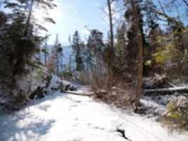 Bezpłatne pobieranie Bear Creek zamrożone w środku zimy bezpłatne zdjęcie lub obraz do edycji za pomocą internetowego edytora obrazów GIMP