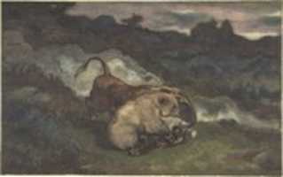 Free download Bear Killing a Bull free photo or picture to be edited with GIMP online image editor