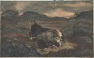Free download Bear Killing Bull free photo or picture to be edited with GIMP online image editor