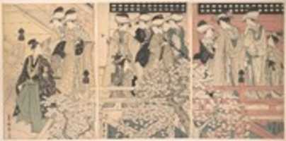 Unduh gratis Keindahan di Beranda di antara Bunga Sakura dari mana seorang Samurai Berangkat foto atau gambar gratis untuk diedit dengan editor gambar online GIMP