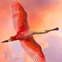 Beautiful Bird  screen for extension Chrome web store in OffiDocs Chromium