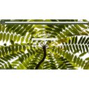 Beautiful Blooming  screen for extension Chrome web store in OffiDocs Chromium