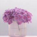 Beautiful flower petals  screen for extension Chrome web store in OffiDocs Chromium
