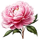 beautiful flowers  screen for extension Chrome web store in OffiDocs Chromium