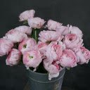 Beautiful flower vase  screen for extension Chrome web store in OffiDocs Chromium