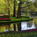 Beautiful green park  screen for extension Chrome web store in OffiDocs Chromium