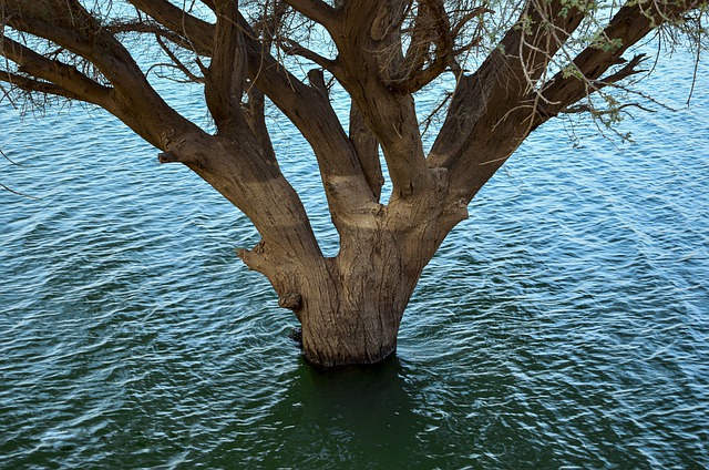 Descargue gratis el hermoso paisaje del río en Riyadh. Imagen gratuita para editar con el editor de imágenes en línea gratuito GIMP.