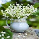 Beautiful lily orchid vase wallpaper  screen for extension Chrome web store in OffiDocs Chromium