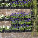 Beautiful little flower pots  screen for extension Chrome web store in OffiDocs Chromium