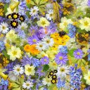 Beautiful little flowers  screen for extension Chrome web store in OffiDocs Chromium