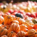 Beautiful pumpkins  screen for extension Chrome web store in OffiDocs Chromium