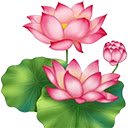 beautiful roses  screen for extension Chrome web store in OffiDocs Chromium