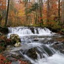 Beautiful stream  screen for extension Chrome web store in OffiDocs Chromium
