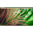 Beautiful Tree Leaves  screen for extension Chrome web store in OffiDocs Chromium