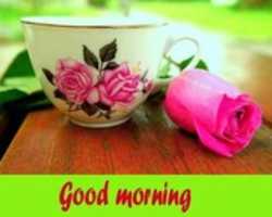 Free download beautiful-wallpaper-of-good-morning-rose-download-500x400 free photo or picture to be edited with GIMP online image editor