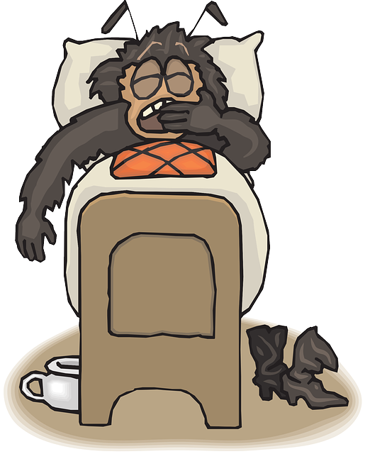 Free download Bed Bug Insect - Free vector graphic on Pixabay free illustration to be edited with GIMP free online image editor