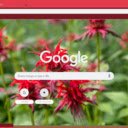 Bee Balm  screen for extension Chrome web store in OffiDocs Chromium
