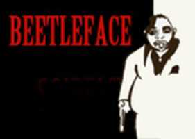 Free download Beetleface Cover free photo or picture to be edited with GIMP online image editor