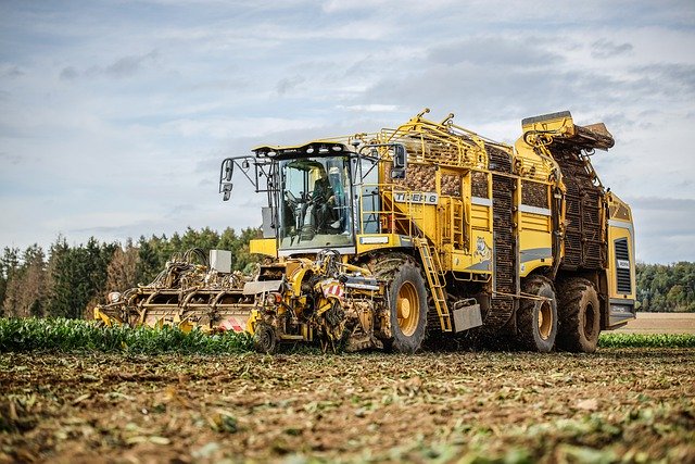 Free download beets beet harvest beet diggers free picture to be edited with GIMP free online image editor