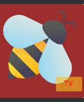 Free download Bee T V pic free photo or picture to be edited with GIMP online image editor