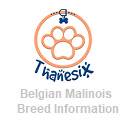 Belgische Mechelaar Rasinformatie Thanesix-scherm voor uitbreiding Chrome-webwinkel in OffiDocs Chromium