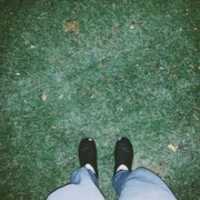 Free download Below 2018-11 photos free photo or picture to be edited with GIMP online image editor
