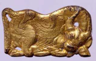 Free download Belt Buckle with Bovine free photo or picture to be edited with GIMP online image editor