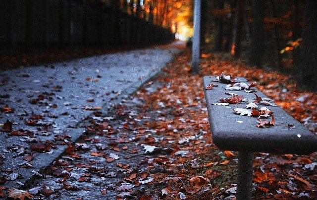 Скачать бесплатно скамейка осень тропинка парк лист бесплатное изображение для редактирования с помощью бесплатного онлайн-редактора изображений GIMP