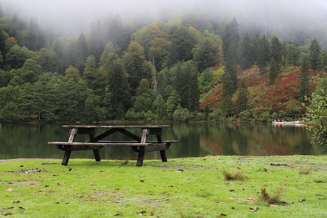 Free download bench fog sky turkey nature free picture to be edited with GIMP free online image editor