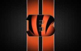 Free download bengals free photo or picture to be edited with GIMP online image editor