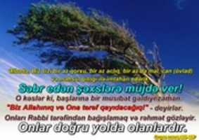 Free download beqere155-157 free photo or picture to be edited with GIMP online image editor