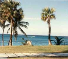 Free download Bermuda Walkway free photo or picture to be edited with GIMP online image editor
