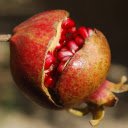 Berry Burst, Ruby Seeds Emerge  screen for extension Chrome web store in OffiDocs Chromium