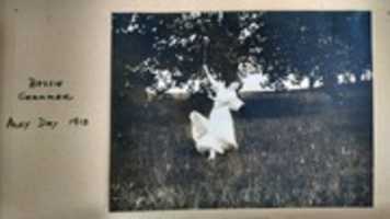 Free download Bessie Grammer, 1913 free photo or picture to be edited with GIMP online image editor