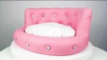 Free download Best Bedding for Dogs free photo or picture to be edited with GIMP online image editor