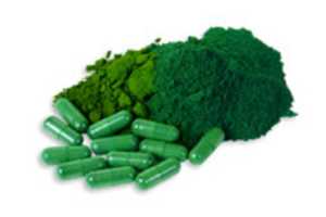 Free download Best Blue Green Algae in 2021. free photo or picture to be edited with GIMP online image editor