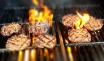 Free download Best Burgers in Sicamous free photo or picture to be edited with GIMP online image editor
