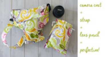 Free download Best Camera DSLR Gear For Disneyland free photo or picture to be edited with GIMP online image editor