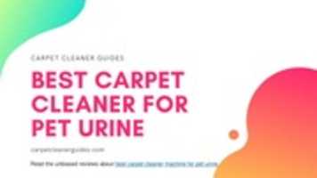 Free download Best Carpet Cleaner For Pets Urine - Top 5 Products Reviews free photo or picture to be edited with GIMP online image editor