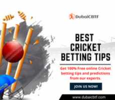Free download Best Cricket Betting Tips free photo or picture to be edited with GIMP online image editor